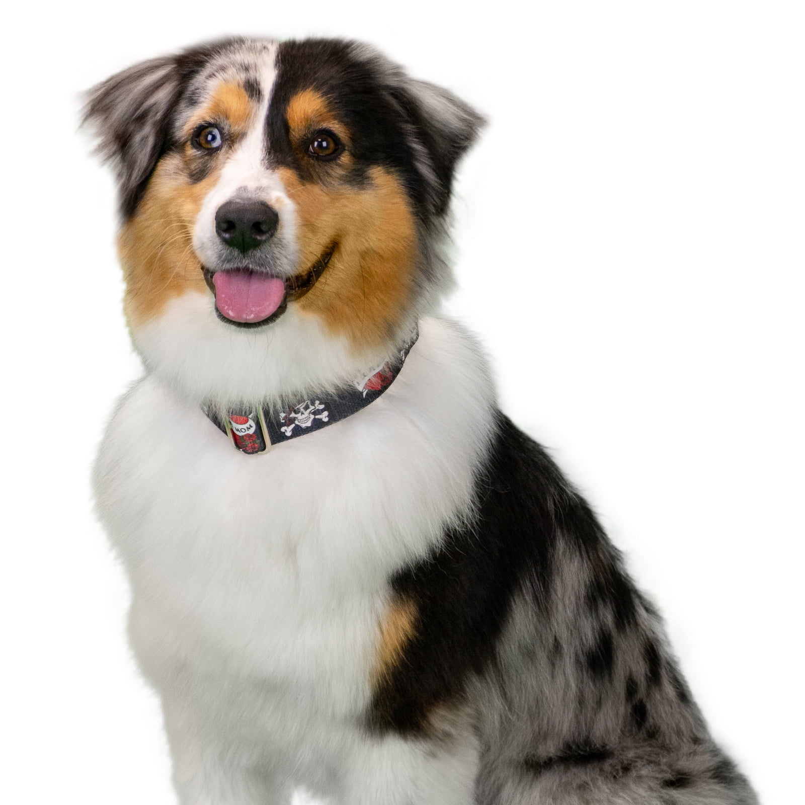 Country Brook Petz® HossFit Jr Wide Martingale with Premium Buckle (I Love Mom, Medium)