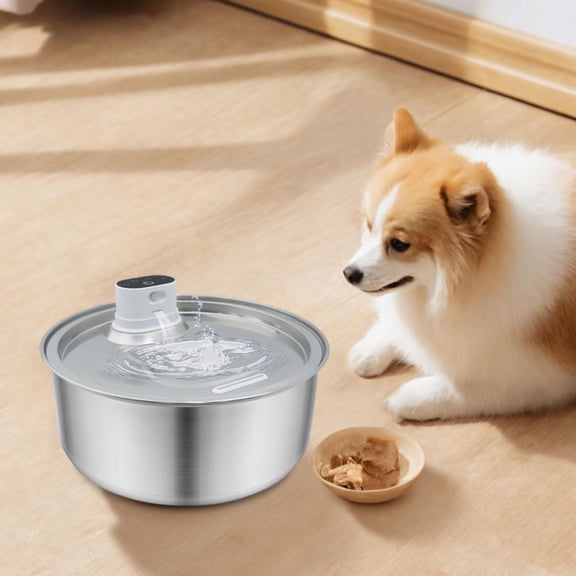 Automatic Large Water Dispenser for Dogs & Cats 8L Stainless Steel Quiet Cordless Pet Water with Motion Sensor & Filter BPA Free, for Big/Medium/Small Cat & Dog,Silver