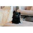 thumbnail image 4 of DEMDACO Cat Small Midnight Black 8 inch Polyester Fabric Plush Stuffed Animal Toy, 4 of 6