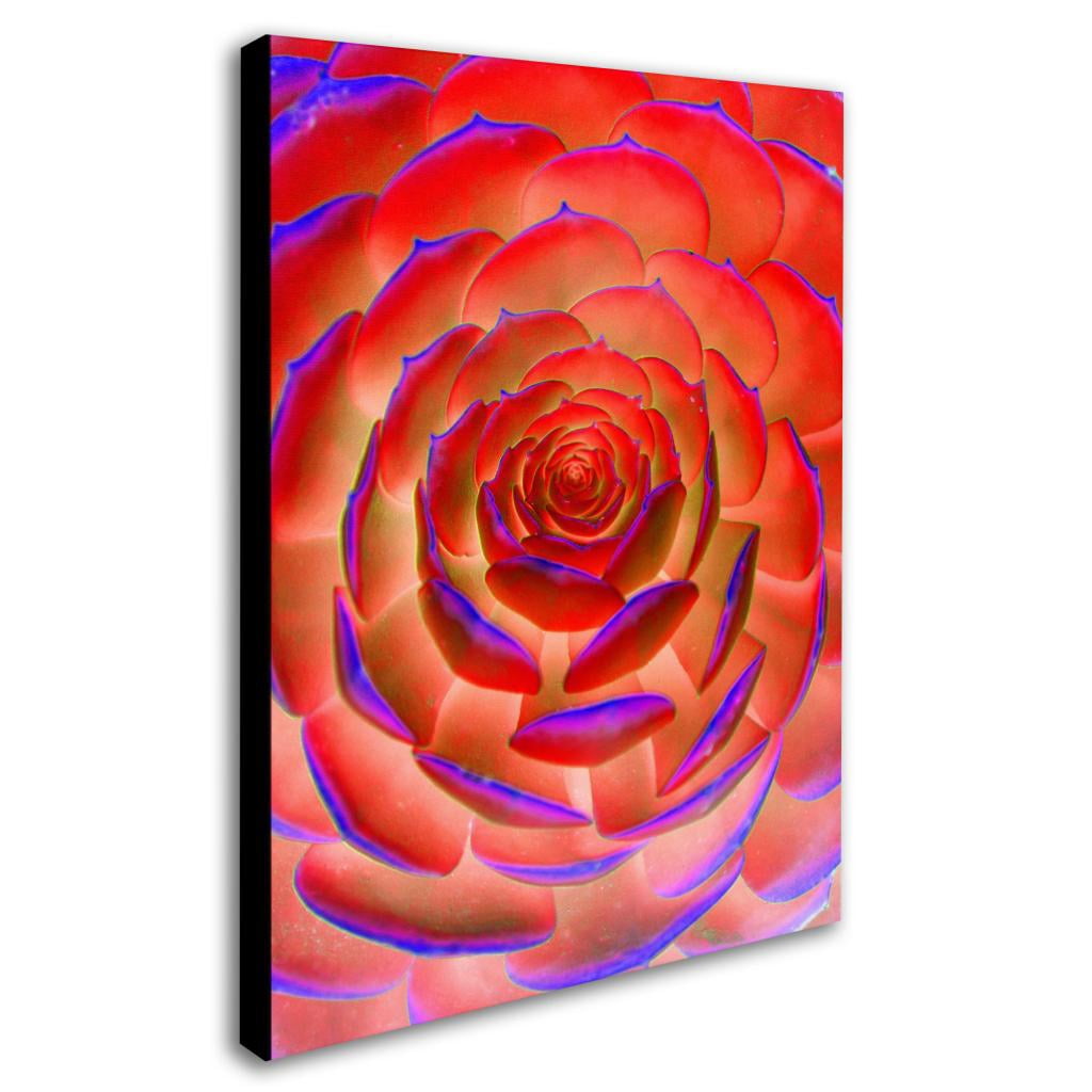 Trademark Fine Art "Plant Art" Canvas Wall Art by Patty Tuggle