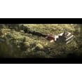 thumbnail image 4 of Deadfall Adventures Collector's Edition (PC Game, 2013) for Windows 8/7/Vista/XP, 4 of 7