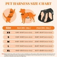 thumbnail image 5 of Jewyow No Pull Dog Harness, Adjustable Dog Vest with Soft Padding, Heavy Duty Dog Harness for Small, Medium, Large Dogs(Black,XL), 5 of 7