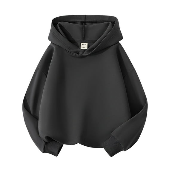 Ydojg Toddler Boys Grils Winter Hoodies Sweatshirts Kids Baby Basic Hooded Pullover Sweatshirt Childrens Solid Hoodie Coat Tops Dark Gray 10-11 Years