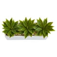 thumbnail image 3 of Nearly Natural Home Decor Agave Succulent in Rectangular Planter, 3 of 3
