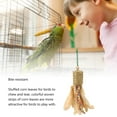 thumbnail image 3 of Bird Biting Toys, Interesting  Biting Toys  for Outdoors for Home, 3 of 8