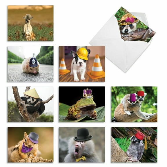 10 All Occasion Blank Note Cards Assorted (4 x 5.12 Inch) - CAPPED CREATURES