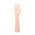 thumbnail image 4 of ZheElen Female Mannequin Hand Elegant Lightweight Commercial Right Extended made from premium PVC,ensuring Hand Model Use, 4 of 6