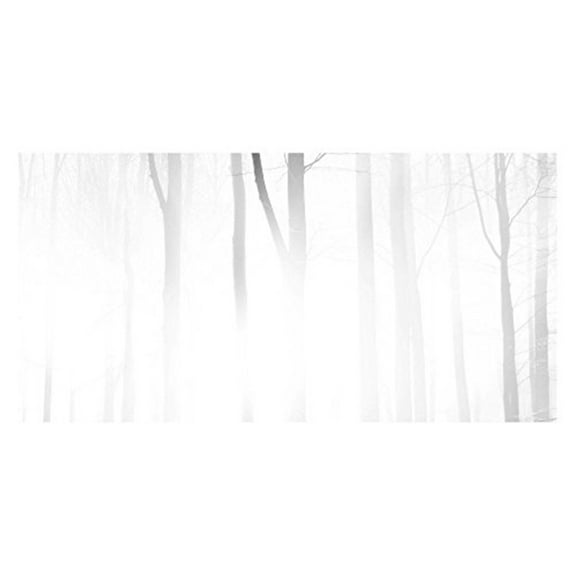 Foggy Forest Painting Print on Wrapped Canvas