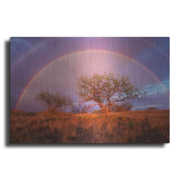 Luxe Metal Art 'Arizona Rainbow' by Thomas Haney, Metal Wall Art, 16"x12"