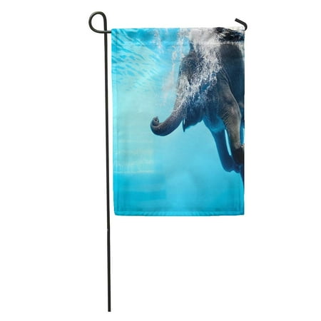 - SIDONKU Elephant Show Swimming and Blow The Bubbles Out of Trunk Underwater Vivid Blue Color in Thailand Garden Flag Decorative Flag House Banner 28x40 inch