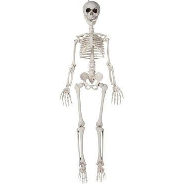 36" Skeleton Poseable Halloween Decoration, 3ft Full Body Plastic Skeleton with Movable Joint for Halloween Party, Indoor and Outdoor Decorations, Haunted House Props, 1 Pack