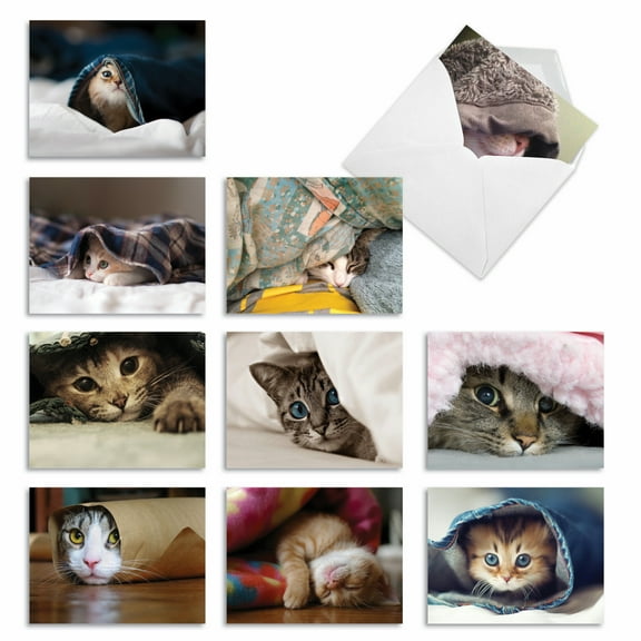 10 Assorted All Occasion Blank Note Cards with Envelopes (4 x 5.12 Inch) - CAT YOU SEE ME NOW M1543BN