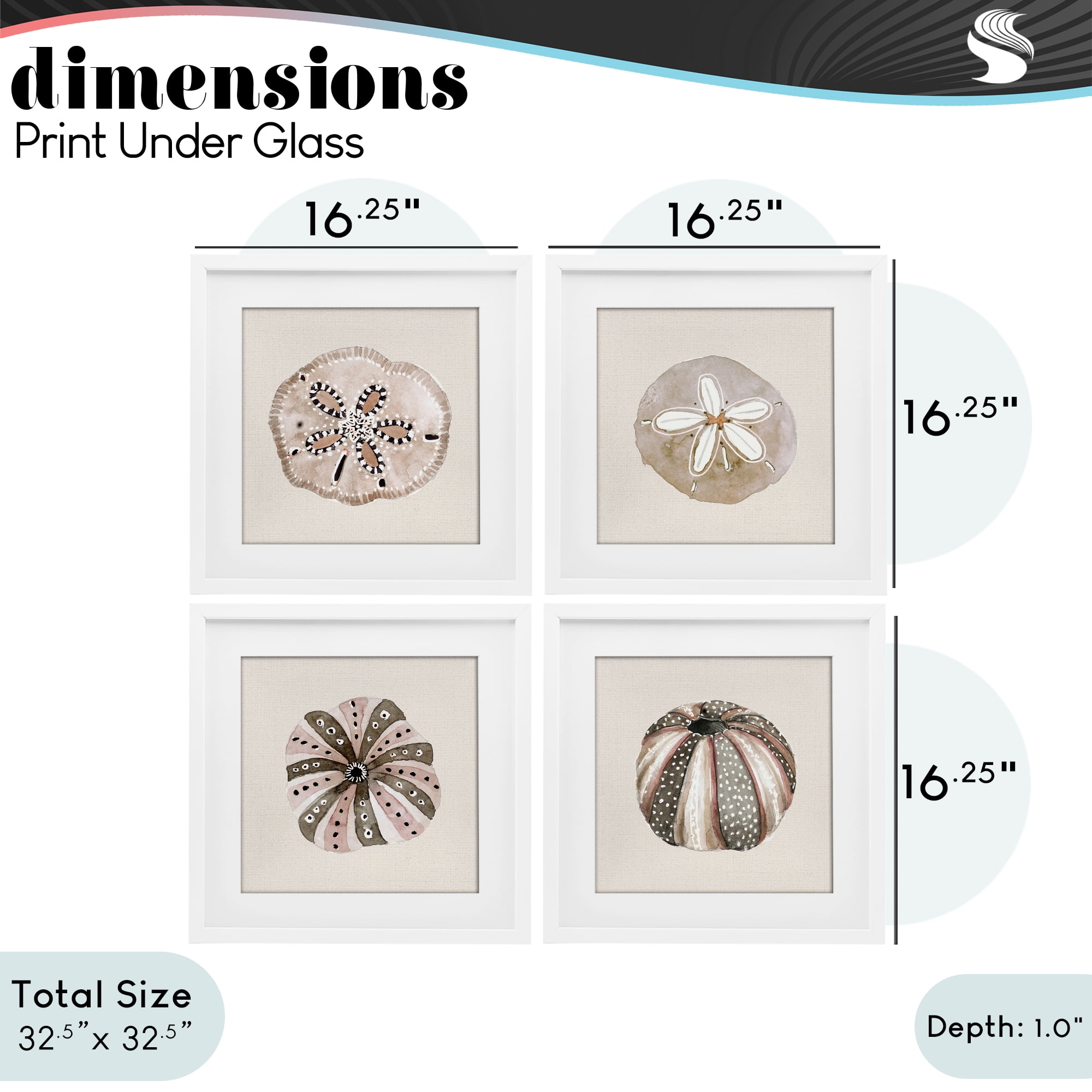 Stupell Industries Taupe & Beige Sea Creatures 4 Piece White Framed Print Under Glass Set, design by Lanie Loreth