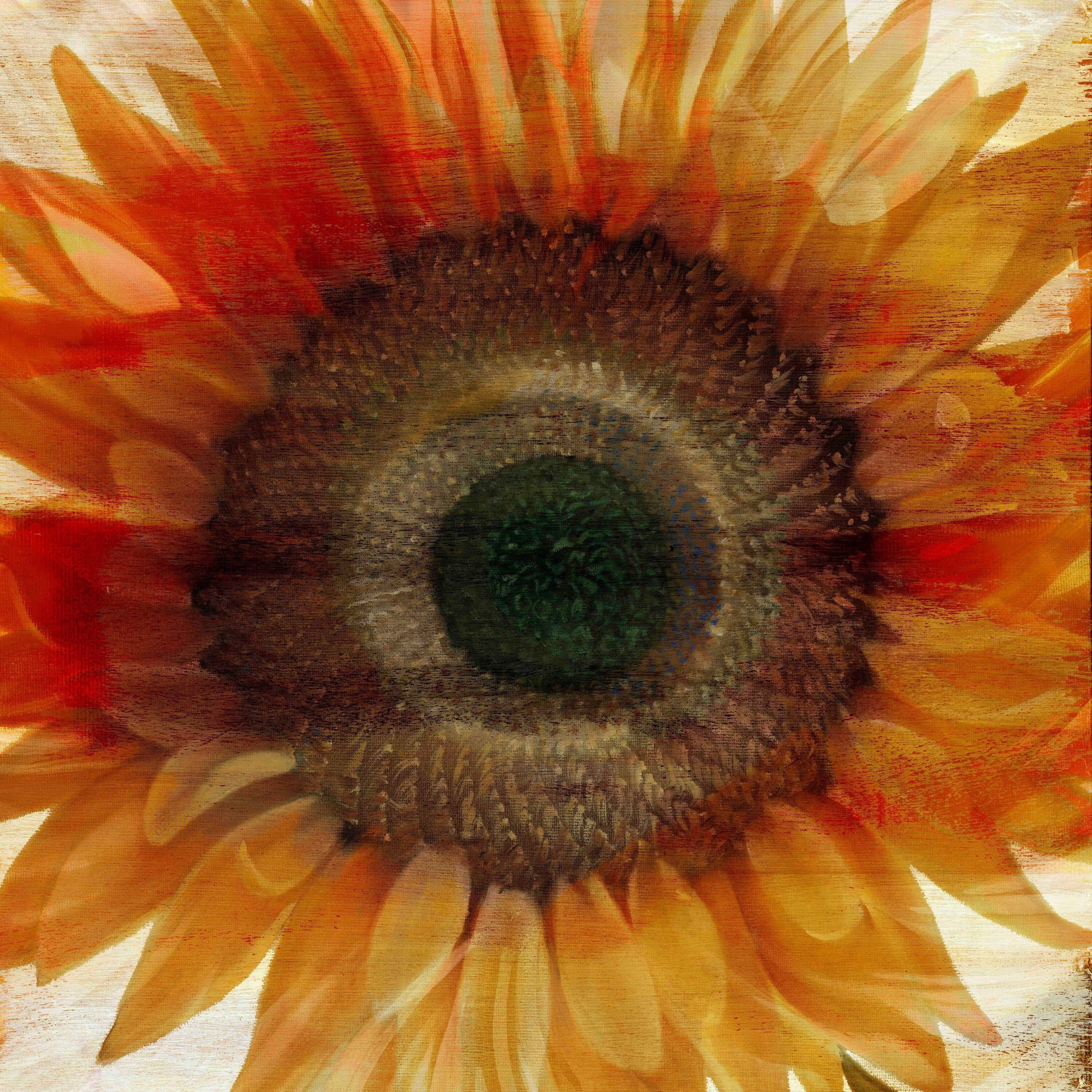 "Flower Strokes III" Painting Print on Wrapped Canvas