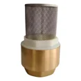 thumbnail image 1 of Pichancha de 3/4 Pulgadas Válvula de Pie en Bronce, Pumps, 1 of 3