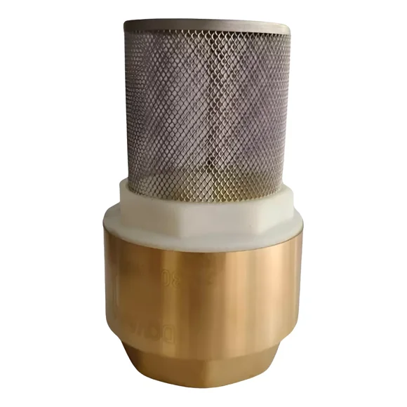 Pichancha de 3/4 Pulgadas Válvula de Pie en Bronce, Pumps