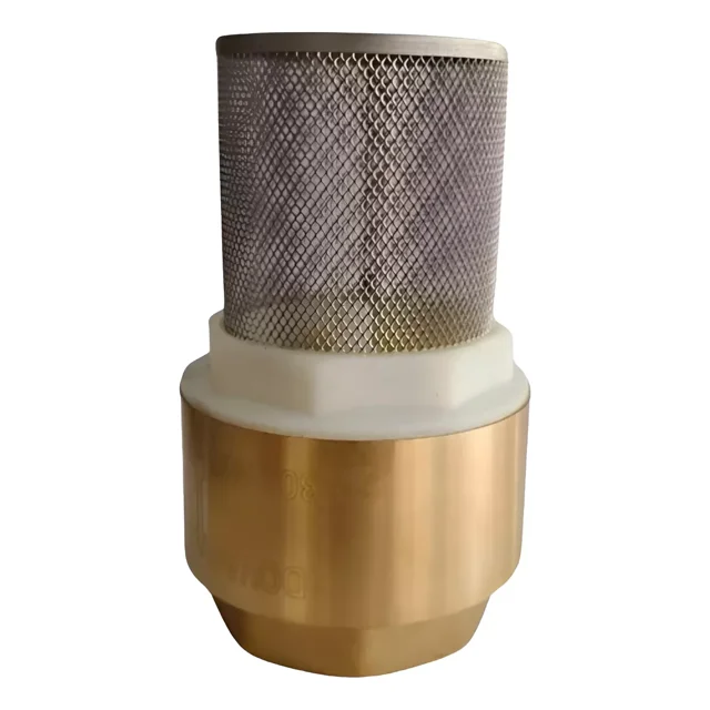 Pichancha de 3/4 Pulgadas Válvula de Pie en Bronce, Pumps