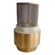 thumbnail image 1 of Pichancha de 1/2 Pulgada Válvula de Pie en Bronce, Pumps, 1 of 3