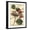 Black Frame, variant on Art.com Petite Dragonflies III Art Print by Vision Studio, 12" x 16"