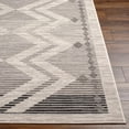 thumbnail image 4 of Hauteloom Rory Living Room, Bedroom Area Rug - Bohemian, Transitional - Light Gray, Medium Gray, Charcoal - 7'10" x 10', 4 of 6
