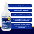 Equate Nasal Spray Saline Liquid Mist, Congestion Relief, 3 fl oz