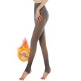 thumbnail image 1 of Medias con forro polar para mujer, pantimedias térmicas translúcidas falsas de cintura alta cálidas de invierno para mujer, pantalones ajustados y elásticos, medias suaves, 1 of 4