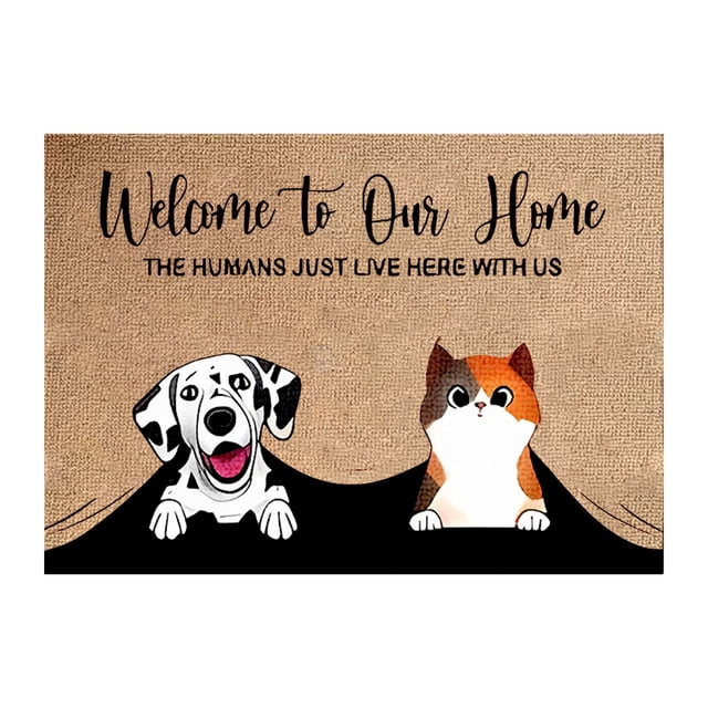 Door Mat Outdoor Funny Door Mats Small Outside Door Mat Door Rug Outside Entrance Front Door Mat Summer Home Decor Front Door Mats Outdoors for Home Entrance Outdoors, 16x24 Inch Welcome to Our Home