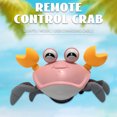 thumbnail image 3 of Juguete para bebé cangrejo gateando 12243546789- () rosa, 3 of 9