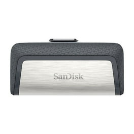 SanDisk 256GB Ultra Dual Drive Go USB Type-C Flash Drive, Navagio