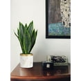 16" Faux Potted Plant Artificial Snake Plant with White Ceramic Pot