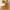 3-Brown, variant on YWDJ Spring And Summer Childrens Suspenders Solid Color Suit Shorts Sleeveless Jacket Girls Four-piece Suit Green 5Y