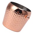 thumbnail image 1 of Cubo De Hielo De 1 Litro, Recipiente Congelado De Acero Inoxidable Multifuncional Con Cuerpo Engrosado Y Diseño De Doble Pared Para Vino, Champán, Cócteles, 1 of 7