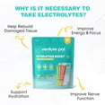 thumbnail image 5 of Venture Pal Sugar Free Electrolyte Powder Packets - Liquid Daily IV Drink Mix for Rapid Hydration & Party Recovery | 5 Vitamins & 7 Electrolytes| Keto Friendly | Non-GMO | Certified Vegan | 16 Sticks, 5 of 5