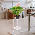 thumbnail image 3 of Labymos Two-Tier Metal Plant Stand Flower Pot Holder Planter Shelf Display Rack Storage Organizer for, 3 of 8