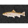 thumbnail image 3 of Brown, Denise 14x11 Black Modern Framed Museum Art Print Titled - Rainbow Trout, 3 of 5
