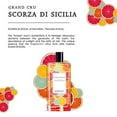 thumbnail image 7 of Berdoues Cologne Grand Cru - Scorza Di Sicilia 3.68 oz Eau de Cologne Splash, 7 of 7