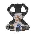 thumbnail image 4 of Bingfone Antique Vintage Teapot Coffee Grinder No Pull Dog Vest Harness For Small Medium Large Dogs Strap For Puppy Walking,Training,Dog Harness-X-Large, 4 of 9