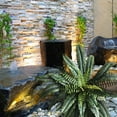 thumbnail image 3 of Helechos grandes de 50 cm para jardines familiares, interiores y exteriores, y espacios verdes colgantes al aire libre, 3 of 6