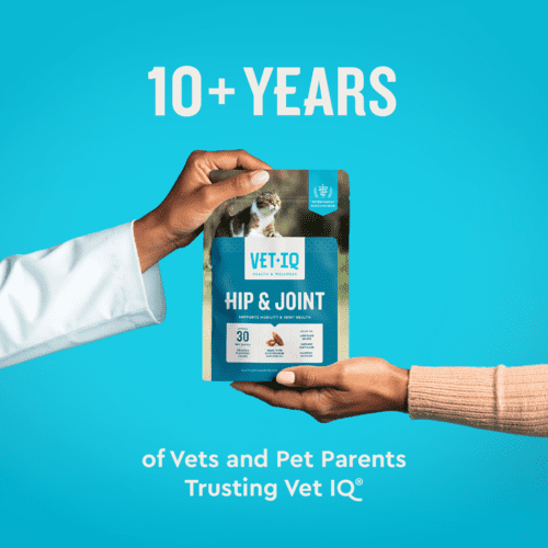 Vet IQ Hip & Joint Health Supplement for Cats, Chicken Flavored Crunchy Chews, Approx. 30 Day Supply