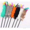thumbnail image 1 of Jouet Interactif pour Chat Coloré Cony (Couleur Aléatoire), 1 of 2