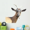 thumbnail image 1 of Goat Wall Decal by Wallmonkeys Peel and Stick Graphic (48 in W x 36 in H) WM89222, 1 of 4
