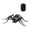 Spider, variant on Staron RC Cockroach Remote Control Car Vehicle Simulation Toys Electronic Remote Control Snake Realistic Fake Cockroach Big Insect Toy Gift