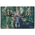 thumbnail image 1 of Plastic Placemat Moose 12 X 18 - Ensemble De 12, 1 of 3