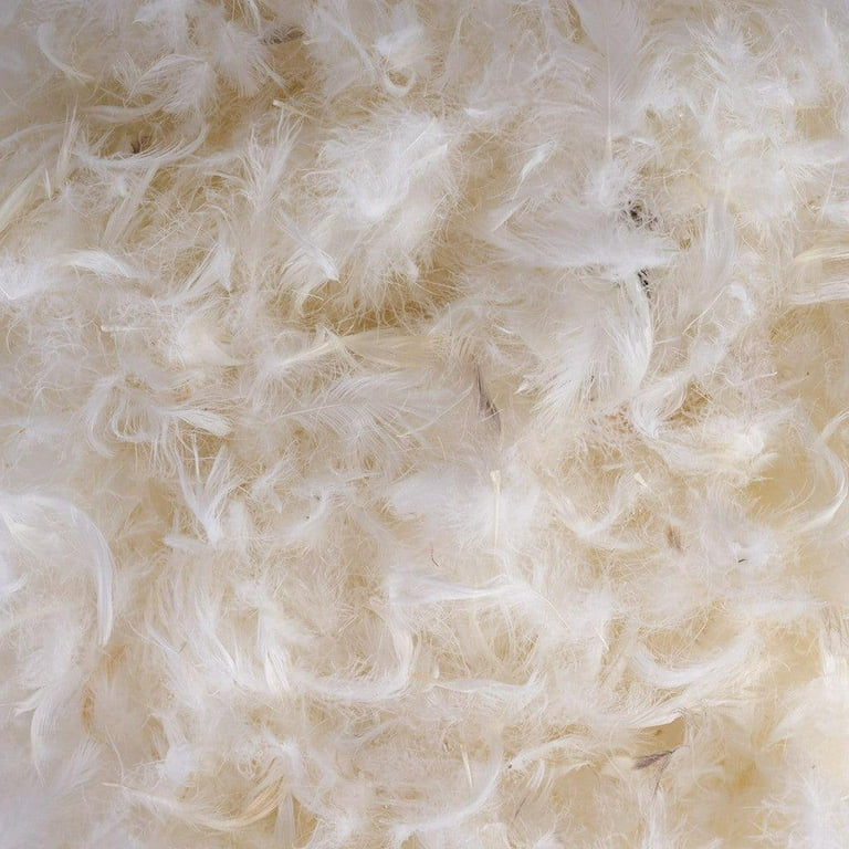  Pal Fabric Bulk White Down Feather Stuffing & Fill, Pillow  Filling, Repair, Restuff, Fluff for Couch Cushions, Comforters, Jackets,  Bedding Products, 5/95 Blend (5 Lbs) : Arts, Crafts & Sewing