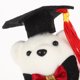 thumbnail image 2 of KAKOWELY 10 mini osos de graduación a granel, muñecos de peluche con birrete para jardín de infantes, primaria, secundaria y fiestas de graduación., 2 of 5