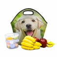 thumbnail image 2 of SUNENAT Neoprene Lunch Boxes Lunch Bag Tote Funny Labrador Retriever Puppy Dog Insulated Neoprene Gourmet Tote Cooler Warm Pouch 11.93" x 11.22" x 6.69", 2 of 2