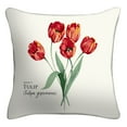 thumbnail image 2 of (2 pack) Mainstays 16" x 16" Tulip Decorative Outdoor Throw Pillow, Off-White/Green, 2 of 9