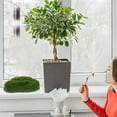 thumbnail image 4 of Masteelf 4pcs Artificial Moss Rocks Decorative Faux Green Moss Covered Stones for Garden Decor DIY Floral Arrangements and Plant Potted Decoration, 4 of 8