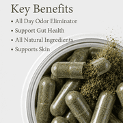 BodyBreeze Internal Deodorant Supplement – Full Body Deodorizer for Gut Health, Skin Health, Detox & Digestion Support – Natural Odor Control Chlorophyll Pills for Head-to-Toe Freshness | 30 Capsules