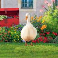 thumbnail image 1 of Estacas acrílicas para jardín con figuras realistas de animales para decorar el patio, 1 of 4